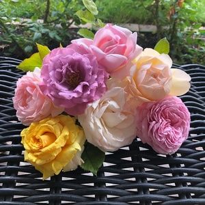 Meet your Posher, Karin